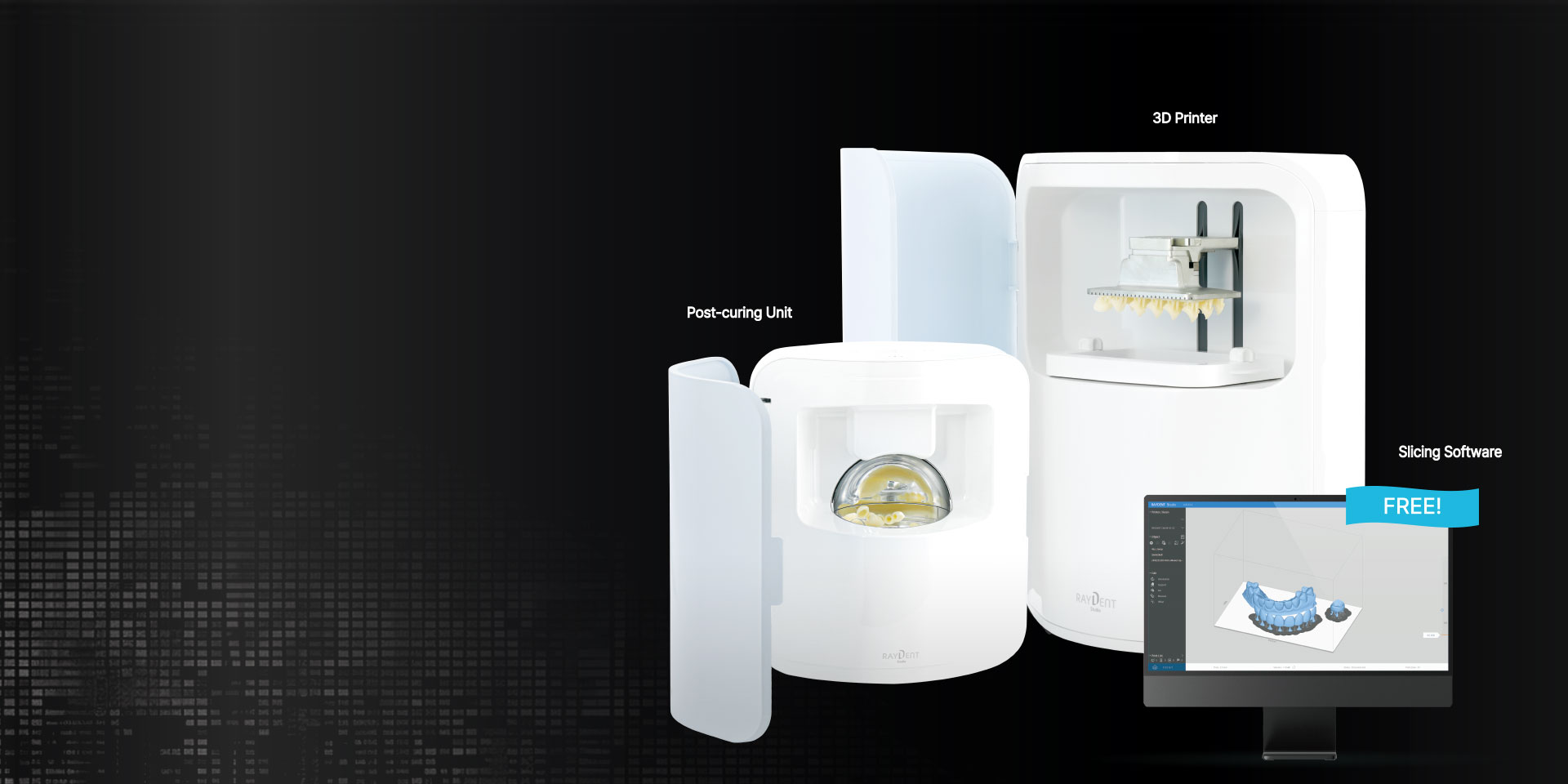 3Dプリンター - RAYDENT Studio