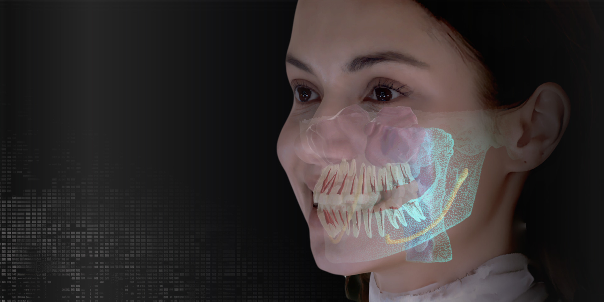 3Dビューア SMARTDent 3D